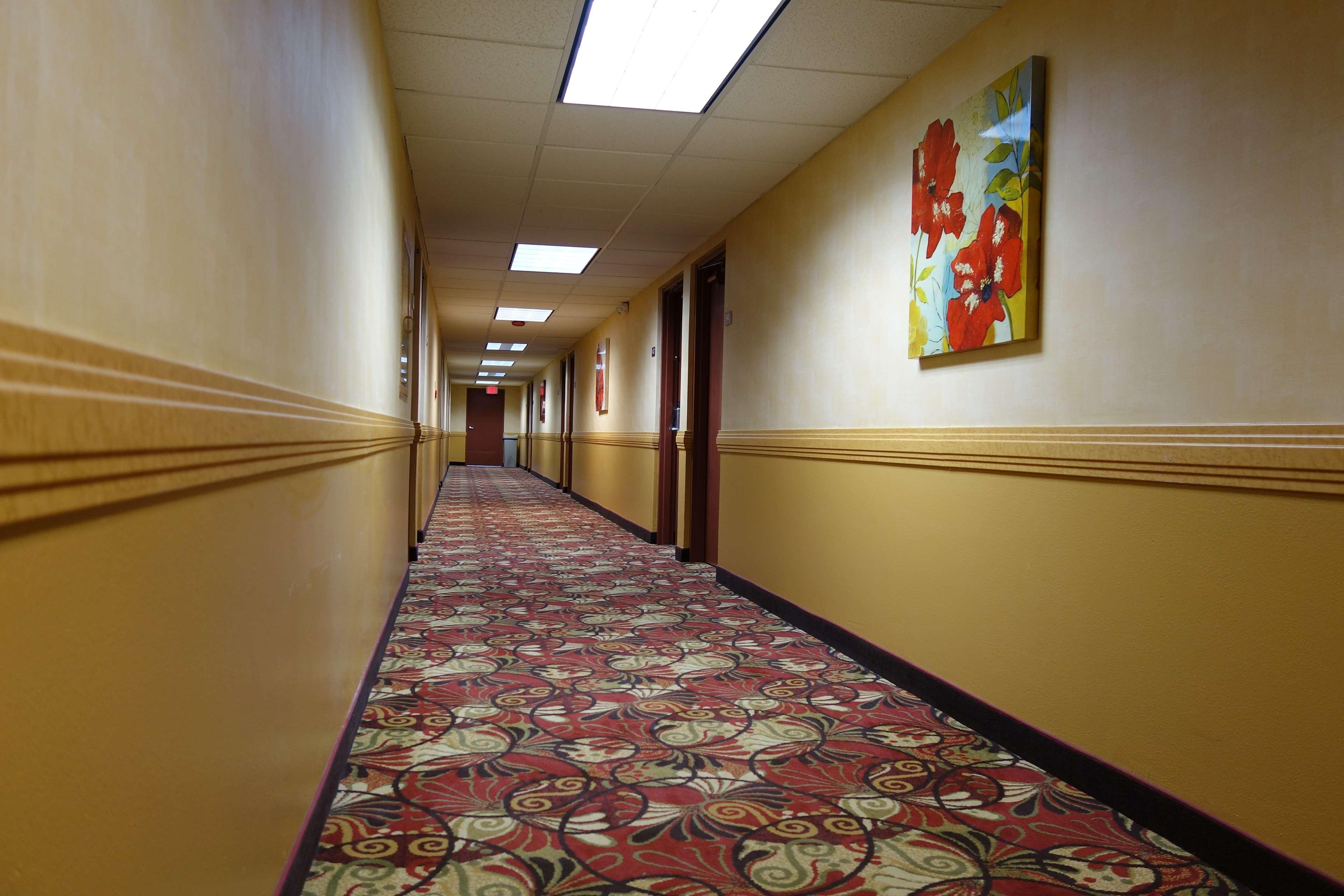 Hotel Ramada By Wyndham Sacramento à North Highlands Extérieur photo